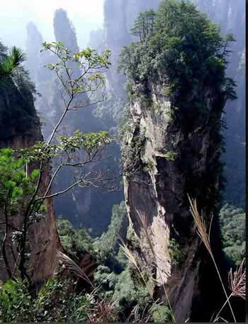 長沙出發(fā)到張家界溶洞奇觀黃龍洞、國家森林公園、袁家界、峰林之王天子山三日游（早班）