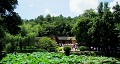 長(zhǎng)沙出發(fā)到花明樓、韶山、張家界國(guó)家森林公園、天門仙山國(guó)家森林公園四日游
