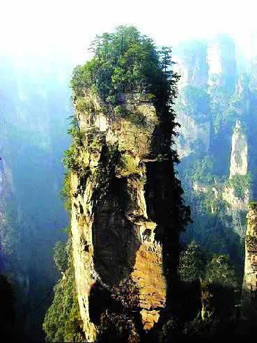 張家界國家地質(zhì)森林公園、黃石寨、金鞭溪休閑一日游