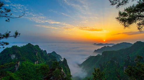 張家界森林公園（金鞭溪、袁家界、楊家界、天子山、十里畫廊）住山上2天1游（可看日出）
